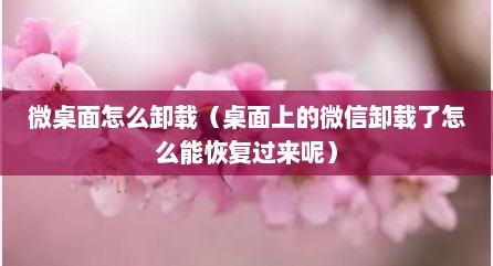 微桌面怎么卸载（桌面上的微信卸载了怎么能恢复过来呢）