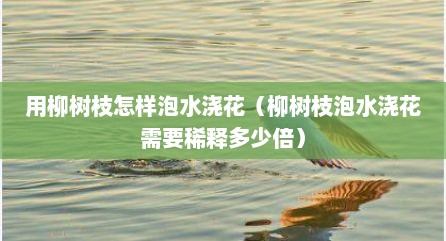 用柳树枝怎样泡水浇花（柳树枝泡水浇花需要稀释多少倍）