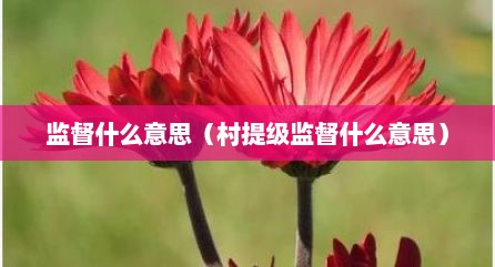 监督什么意思（村提级监督什么意思）