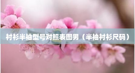 衬衫半袖型号对照表图男（半袖衬衫尺码）