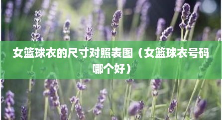 女篮球衣的尺寸对照表图（女篮球衣号码哪个好）