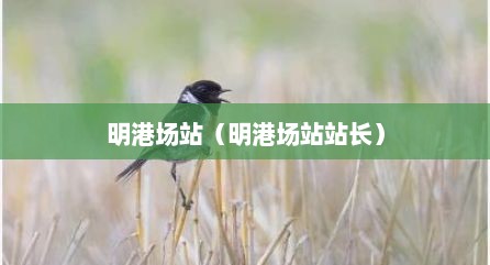 明港场站（明港场站站长）