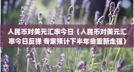 人民币对美元汇率今日（人民币对美元汇率今日反弹 专家预计下半年会重新走强）