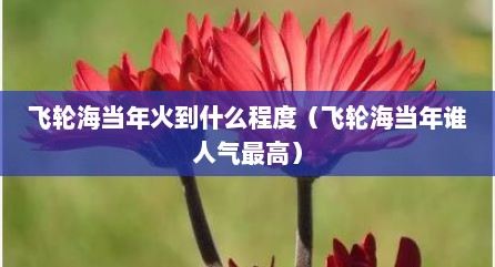 飞轮海当年火到什么程度（飞轮海当年谁人气最高）