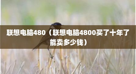 联想电脑480（联想电脑4800买了十年了能卖多少钱）