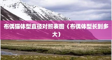 布偶猫体型直径对照表图（布偶体型长到多大）