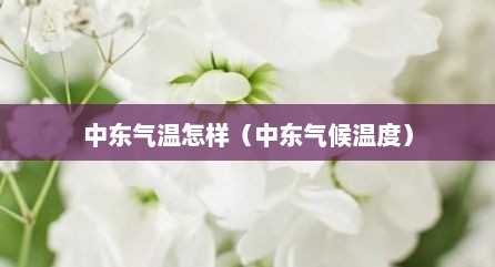 中东气温怎样（中东气候温度）