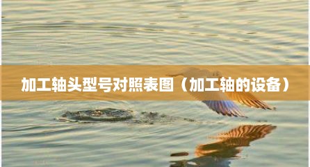 加工轴头型号对照表图（加工轴的设备）