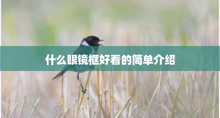 什么眼镜框好看的简单介绍