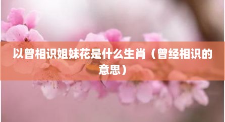 以曾相识姐妹花是什么生肖（曾经相识的意思）