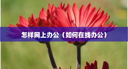 怎样网上办公（如何在线办公）