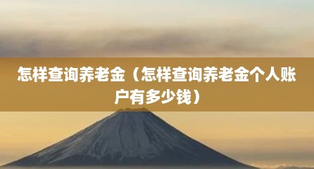 怎样查询养老金（怎样查询养老金个人账户有多少钱）