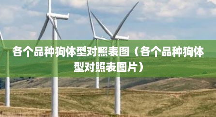各个品种狗体型对照表图（各个品种狗体型对照表图片）