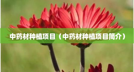 中药材种植项丰（中药材种植项丰简介）