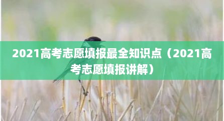 2021高考志愿填报最全知识点（2021高考志愿填报讲解）