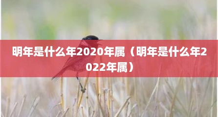 明年是什么年2020年属（明年是什么年2022年属）