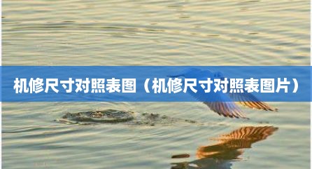 机修尺寸对照表图（机修尺寸对照表图片）