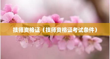 技师资格证（技师资格证考试条件）