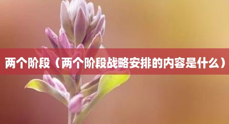 两个阶段（两个阶段战略安排的内容是什么）