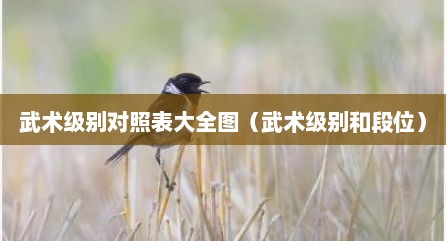 武术级别对照表大全图（武术级别和段位）