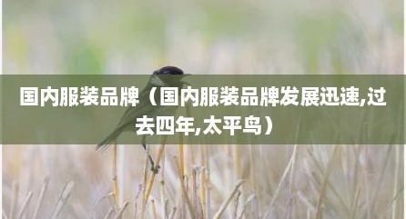 国内服装品牌（国内服装品牌发展迅速,过去四年,太平鸟）