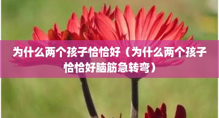 为什么两个孩子恰恰好（为什么两个孩子恰恰好脑筋急转弯）