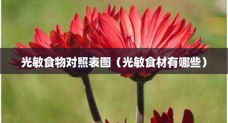 光敏食物对照表图（光敏食材有哪些）