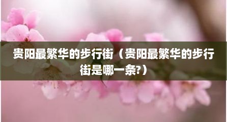 贵阳最繁华的步行街（贵阳最繁华的步行街是哪一条?）