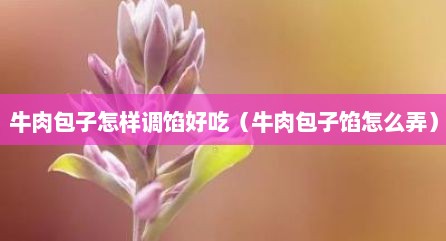 牛肉包子怎样调馅好吃（牛肉包子馅怎么弄）