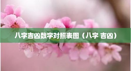 八字吉凶数字对照表图（八字 吉凶）