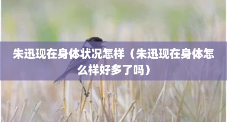 朱迅现在身体状况怎样（朱迅现在身体怎么样好多了吗）