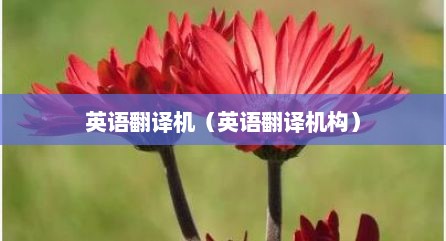 英语翻译机（英语翻译机构）