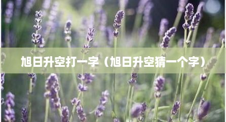 旭日升空打一字（旭日升空猜一个字）