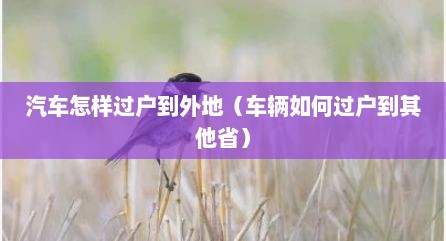 汽车怎样过户到外地（车辆如何过户到其他省）
