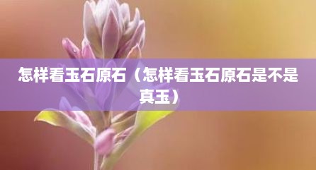 怎样看玉石原石（怎样看玉石原石是不是真玉）