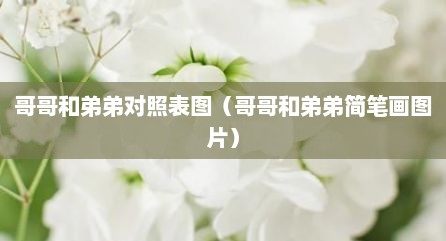 哥哥和弟弟对照表图（哥哥和弟弟简笔画图片）