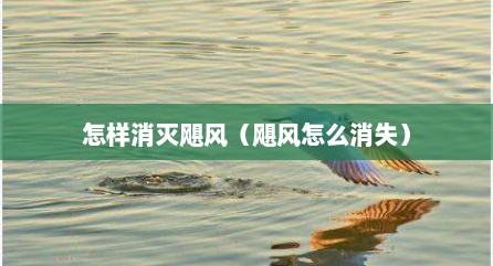 怎样消灭飓风（飓风怎么消失）