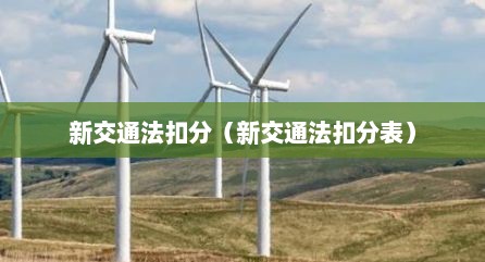 新交通法扣分（新交通法扣分表）