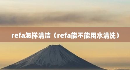 refa怎样清洁（refa能不能用水清洗）