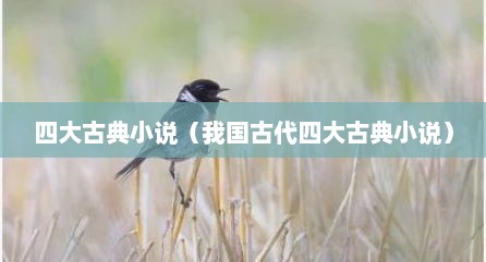 四大古典小说（我国古代四大古典小说）