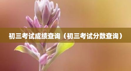 初三考试成绩查询（初三考试分数查询）