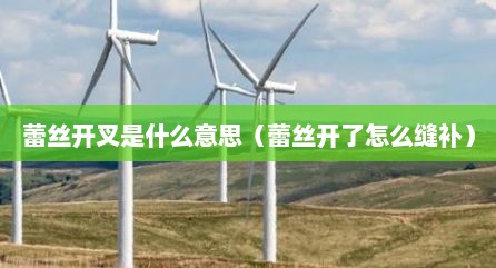 蕾丝开叉是什么意思（蕾丝开了怎么缝补）