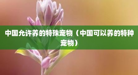 中国允许养的特殊宠物（中国可以养的特种宠物）