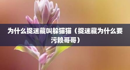 为什么捉迷藏叫躲猫猫（捉迷藏为什么要污赖哥哥）
