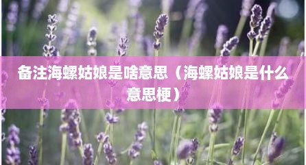 备注海螺姑娘是啥意思（海螺姑娘是什么意思梗）