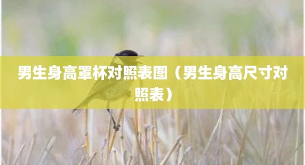 男生身高罩杯对照表图（男生身高尺寸对照表）