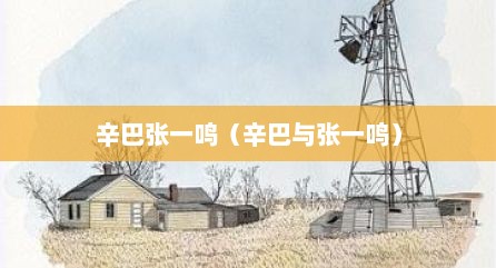 辛巴张一鸣（辛巴与张一鸣）