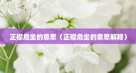 正襟危坐的意思（正襟危坐的意思解释）