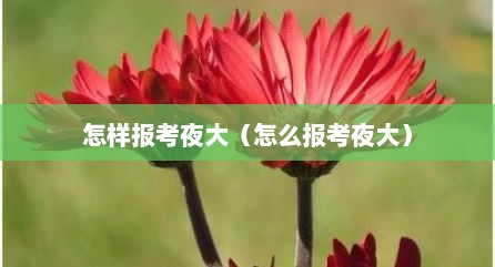 怎样报考夜大（怎么报考夜大）