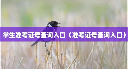 学生准考证号查询入口（准考证号查询入口）